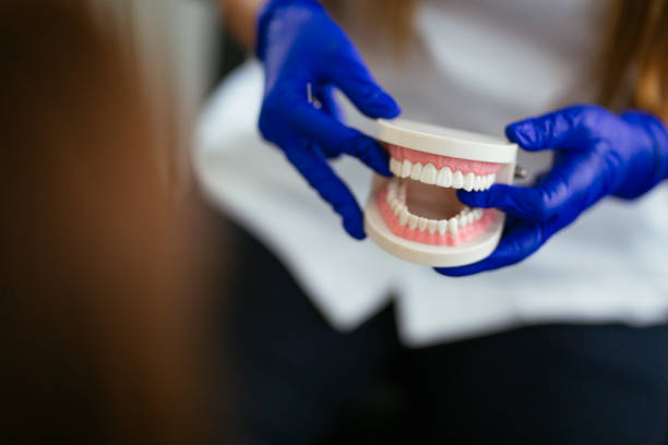 Best General Dentistry  in Anacortes, WA